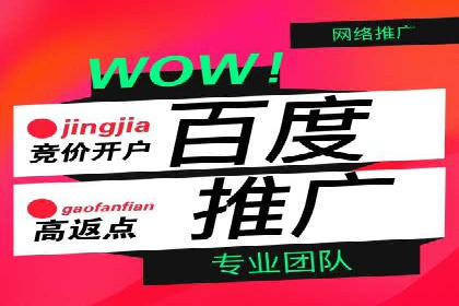 搜索引擎优化（SEM）在移动端的实践案例